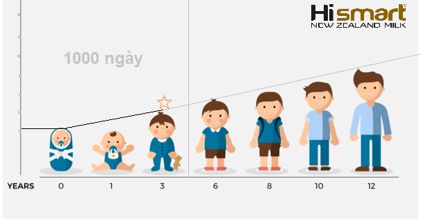 The golden period of children's height development